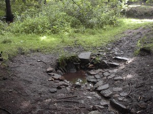 2001.08.05 15.21.30.jpg